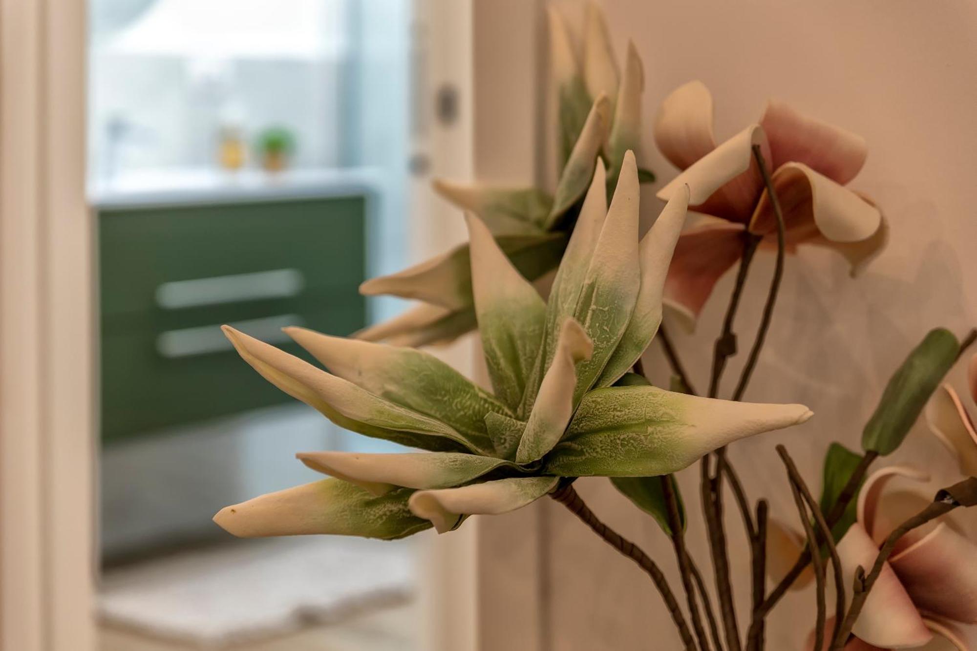 Delia'S Home ألغيرو المظهر الخارجي الصورة
